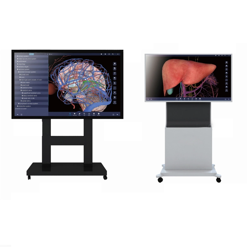 hd digital human virtual interface anatomy dissection table system