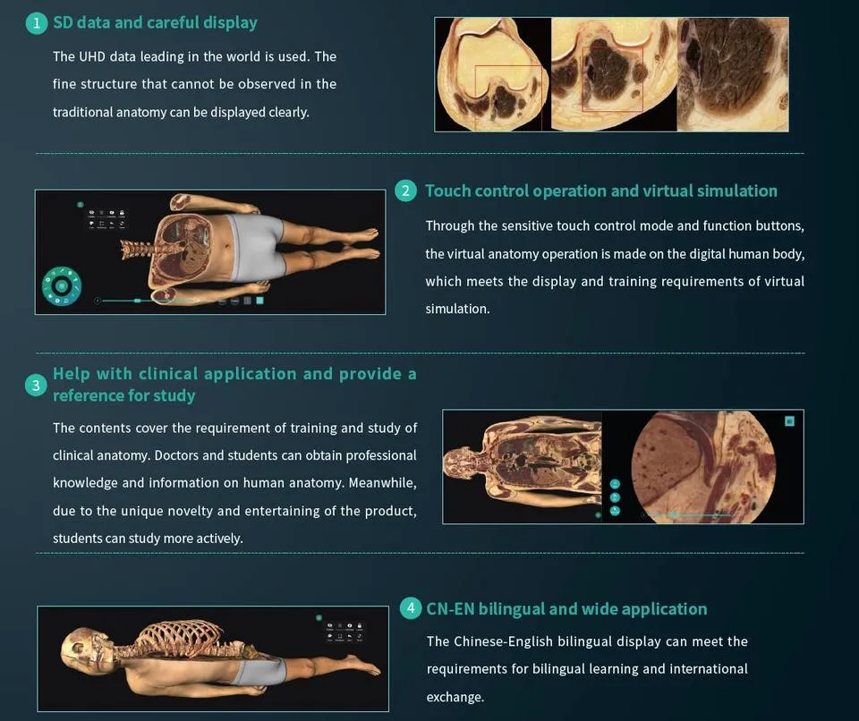 Hot New 3D Medical School Autopsy Virtual Anatomy Dissection Table for University